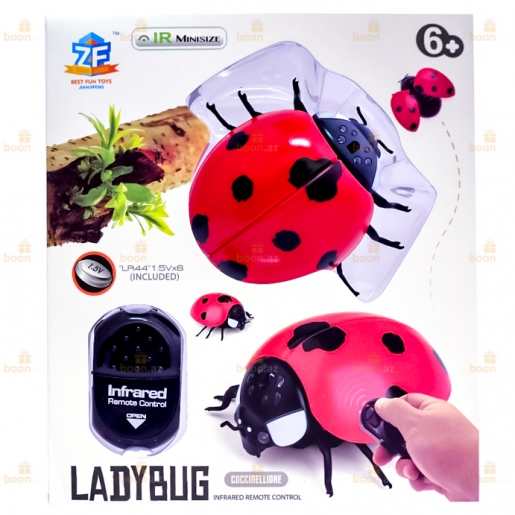 Радиоуправляемый робот «Божья коровка». Radio-controlled robot «Ladybug»