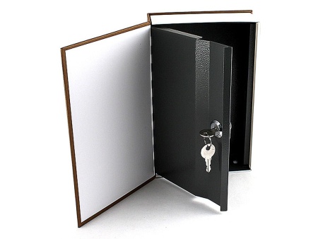 Книга - сейф «PISA» 24 см