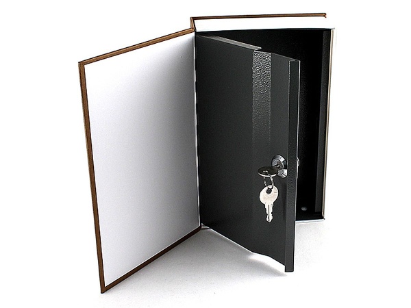 Книга - сейф «PISA» 24 см
