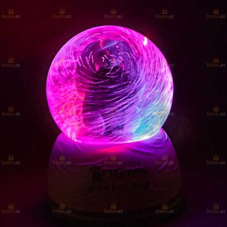Музыкальный снежный шар «Happy every day» (LED подсветка)