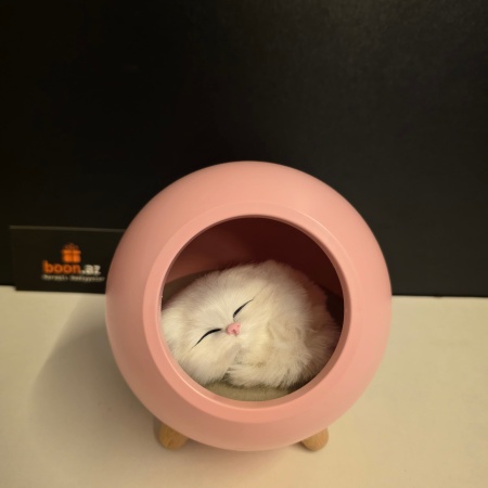 Ночник Котёнок в домике 