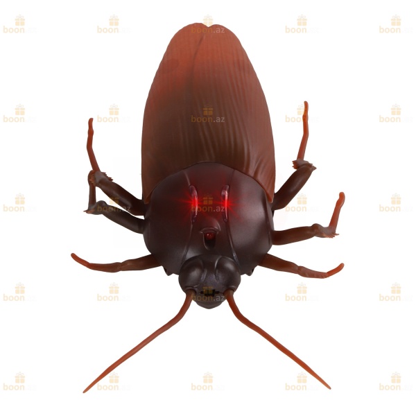 Радиоуправляемый робот «Таракан». Radio-controlled robot GIANT COCKROACH