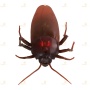 Радиоуправляемый робот «Таракан». Radio-controlled robot GIANT COCKROACH