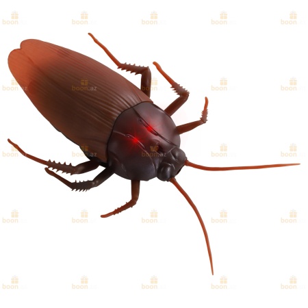 Радиоуправляемый робот «Таракан». Radio-controlled robot GIANT COCKROACH