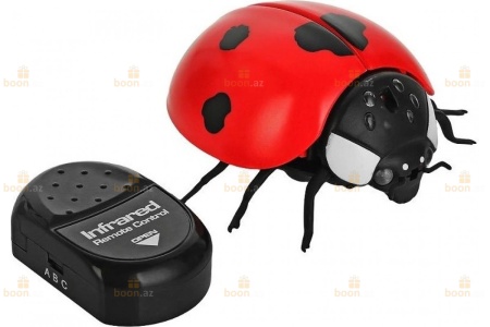 Радиоуправляемый робот «Божья коровка». Radio-controlled robot «Ladybug»