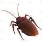 Радиоуправляемый робот «Таракан». Radio-controlled robot GIANT COCKROACH