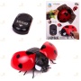 Радиоуправляемый робот «Божья коровка». Radio-controlled robot «Ladybug»