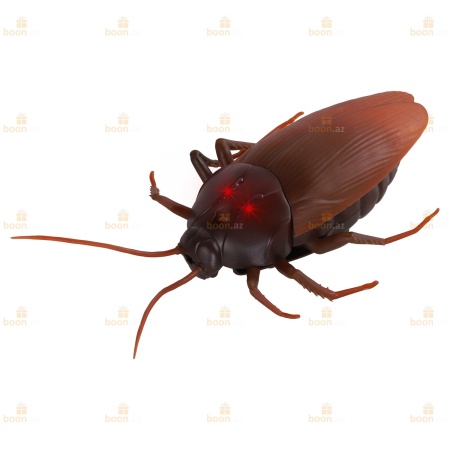 Радиоуправляемый робот «Таракан». Radio-controlled robot GIANT COCKROACH